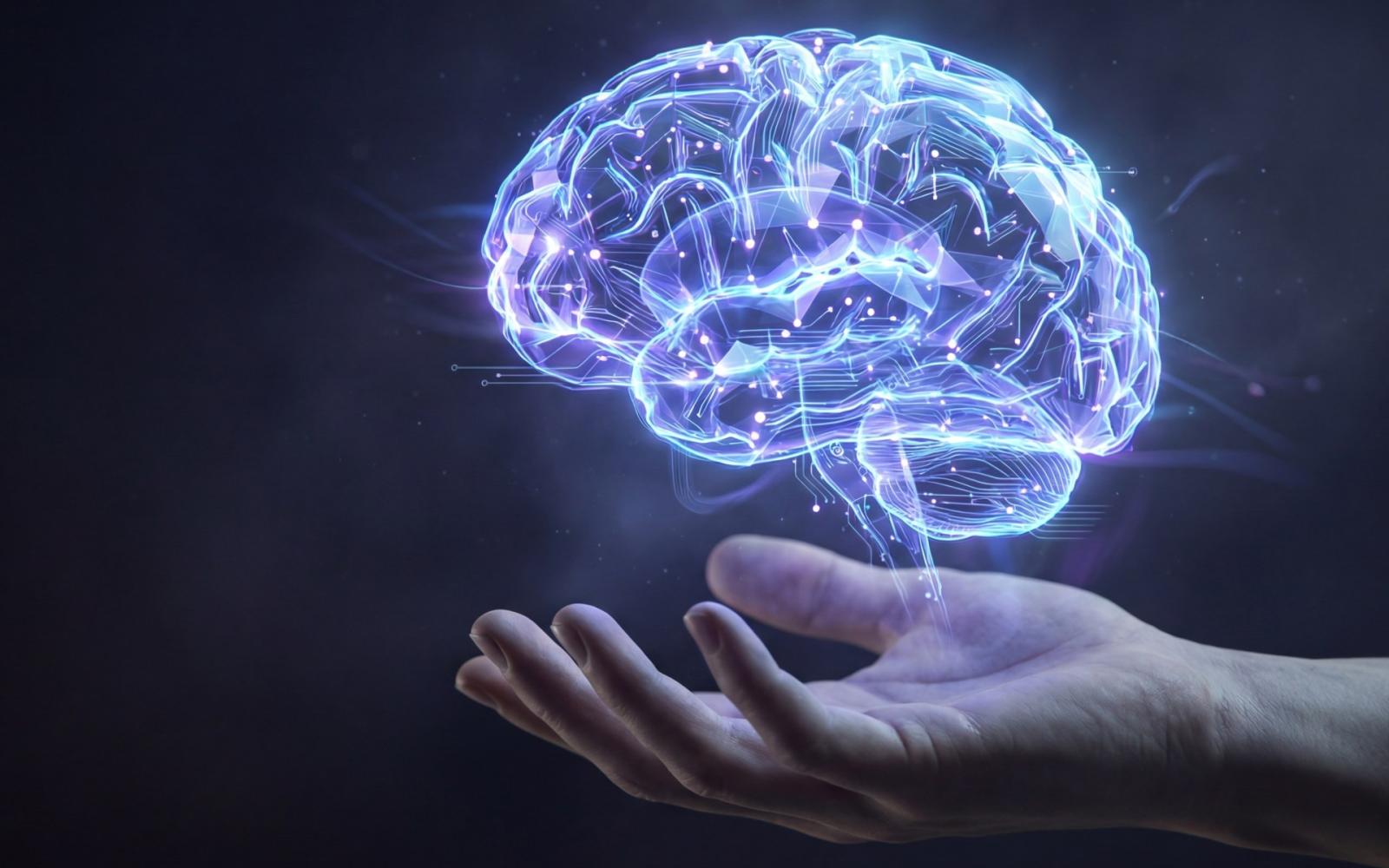 علماء يكشفون: الذكاء ليس محصورًا في بقعة واحدة بالدماغ، بل هو نتاج شبكة شاملة
