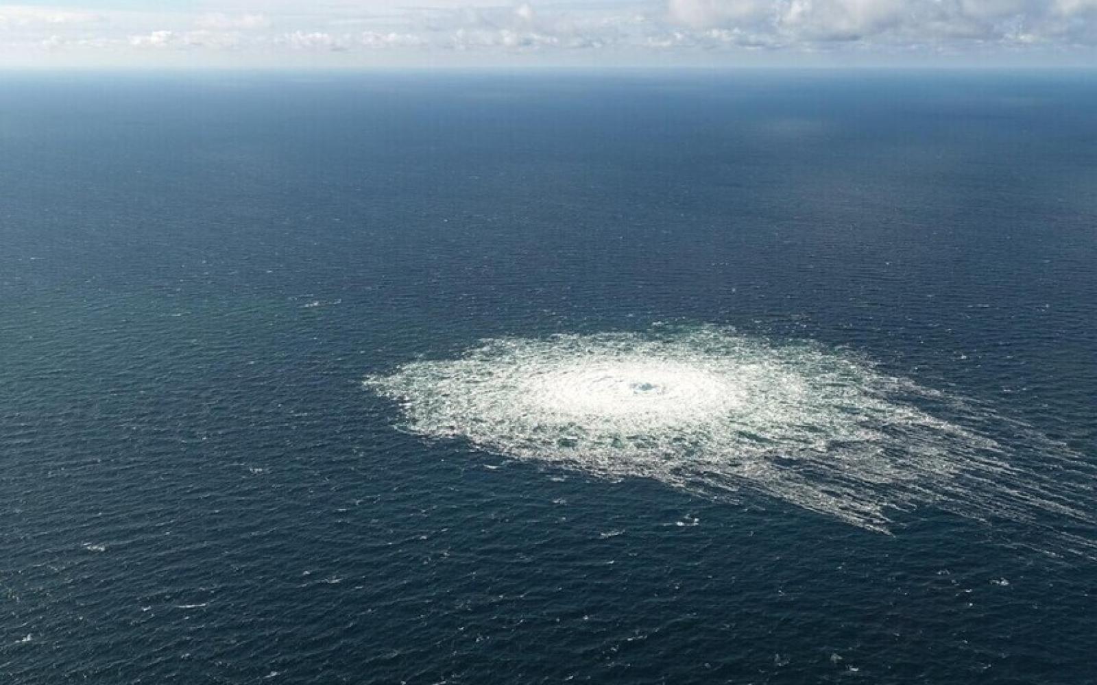 زعيمة حزب ألماني تدعو لإنهاء التبعية لواشنطن بعد الكشف عن علم أمريكي بتفجيرات "السيل الشمالي"