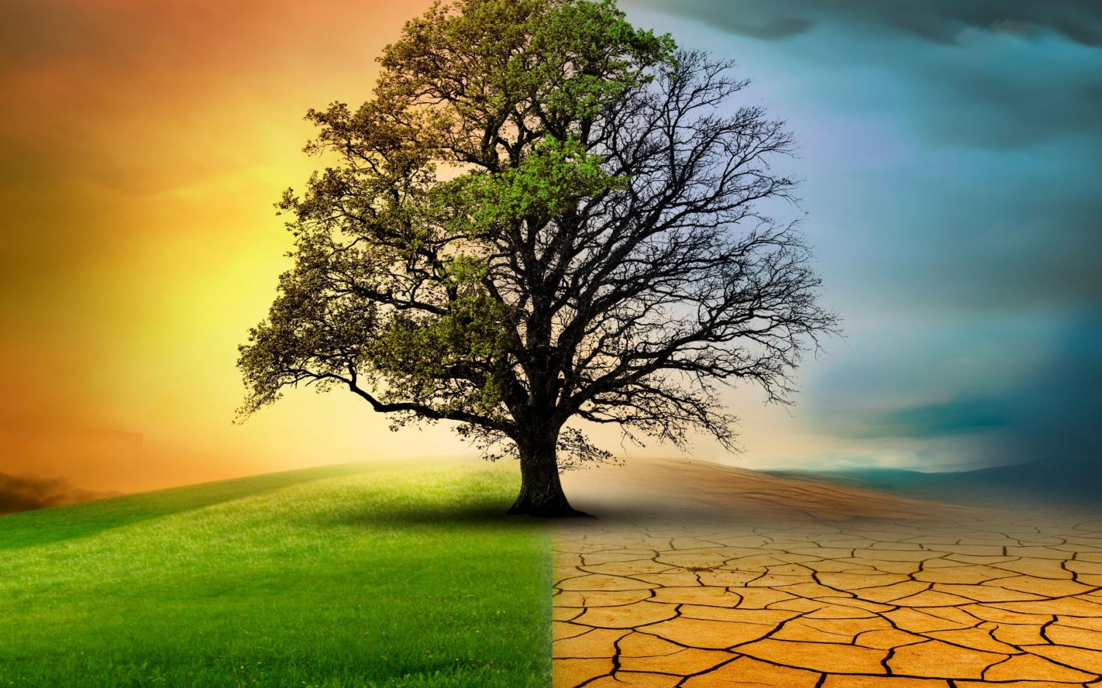 دراسة عالمية صادمة: تغير المناخ يتسارع، لكن تبدل الأنواع يتباطأ.. ما الخطر؟