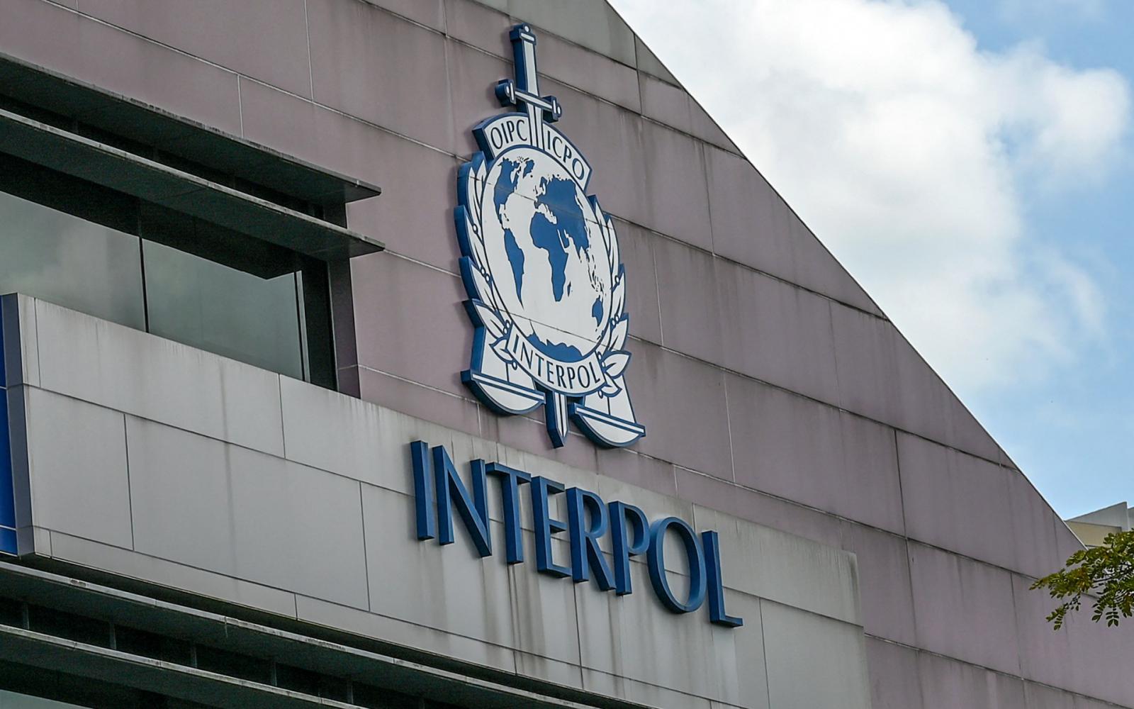 اعتقال 651 في أكبر حملة إفريقية ضد الاحتيال الرقمي.. واستعادة ملايين الدولارات