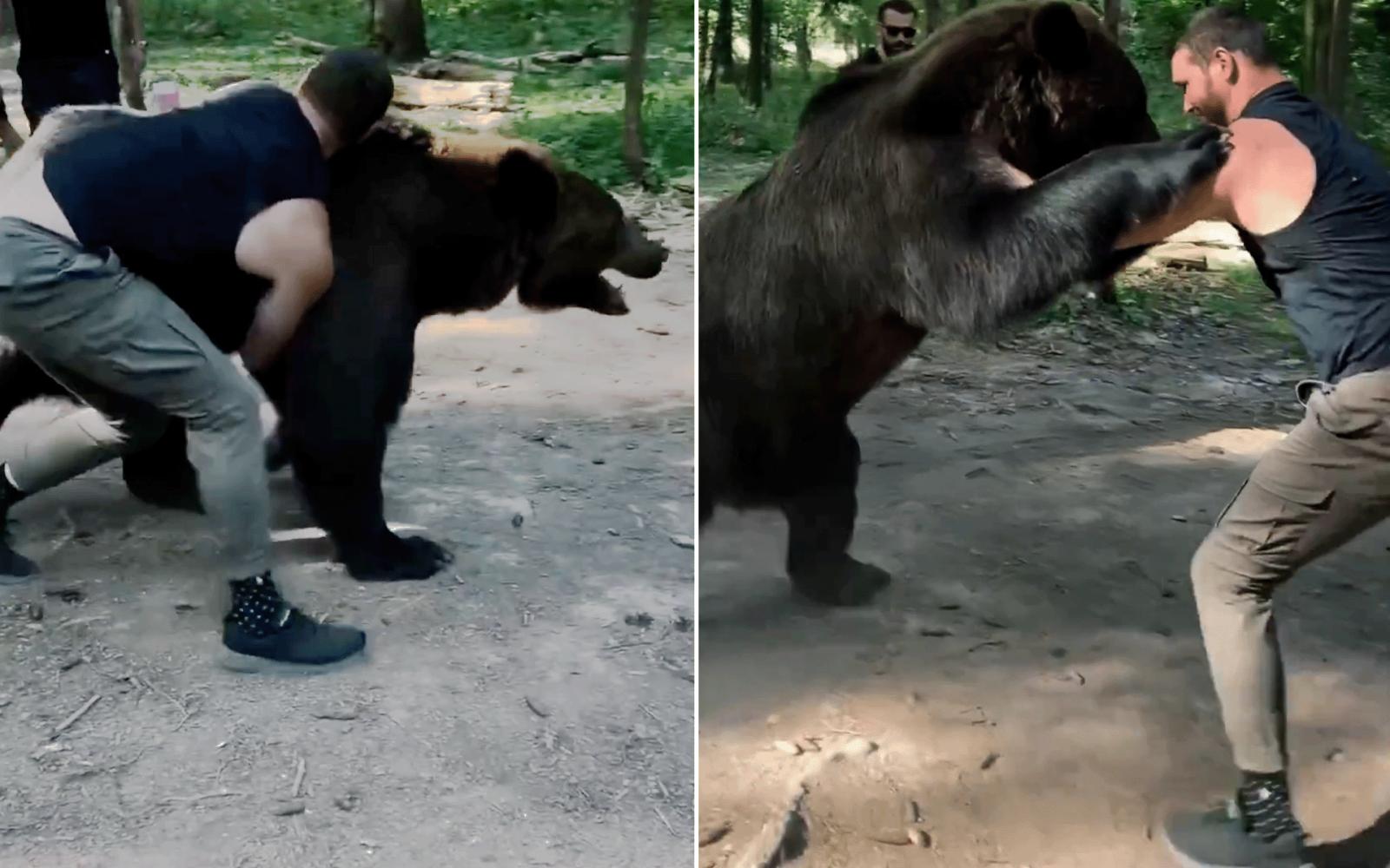 فيوري يعود من الاعتزال لمواجهة "مصارع الدببة": نزال مرتقب في أبريل