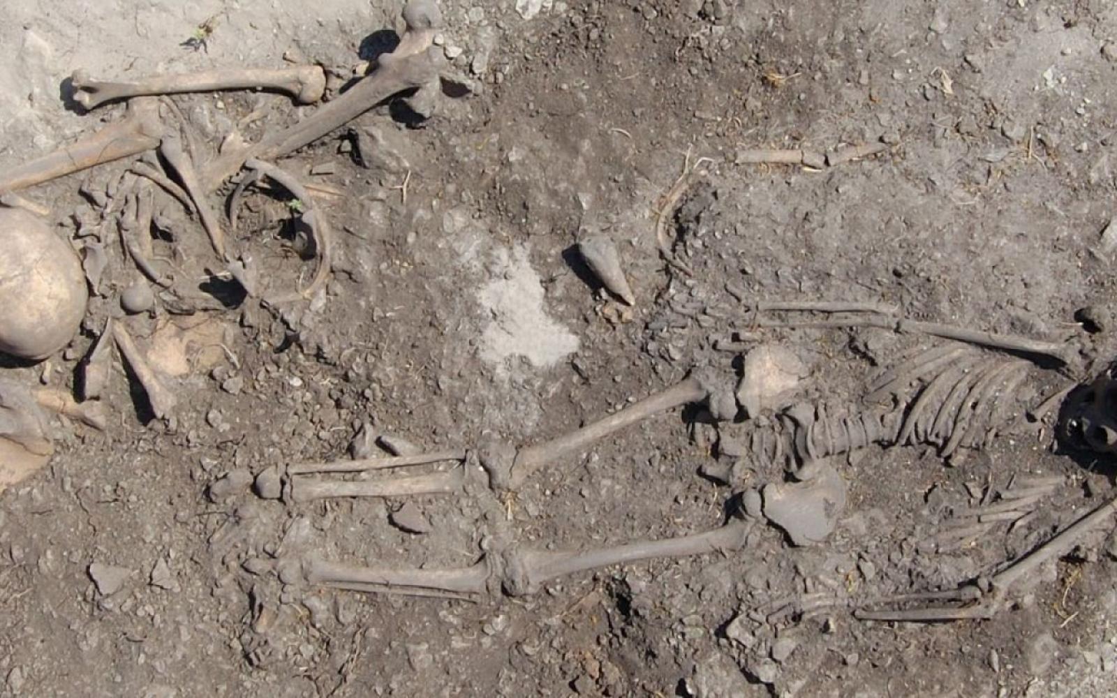 فتاة من العصر الحجري تحتضن والدها في القبر: قصة دفن مؤثرة تكشف عن رابطة أزلية