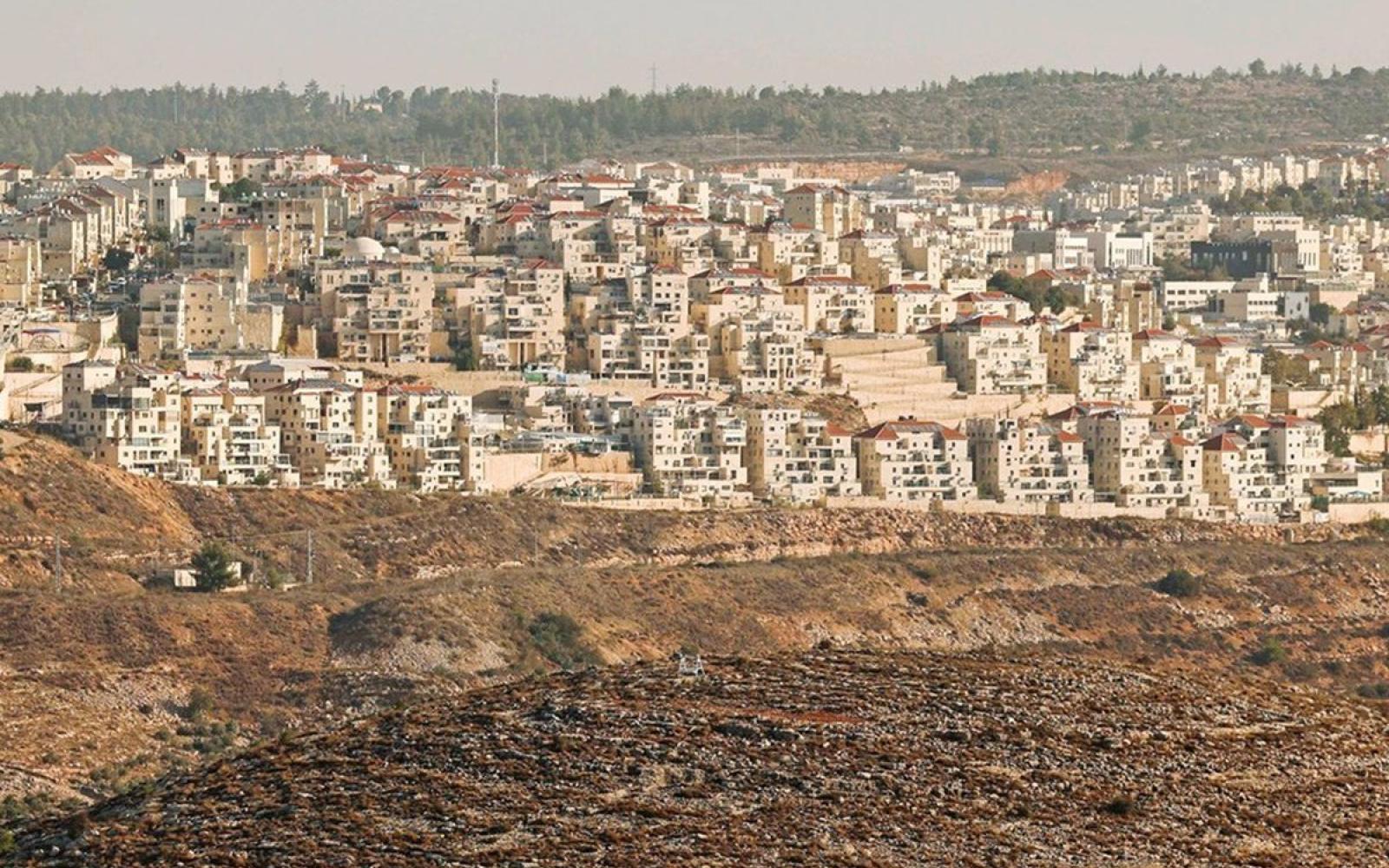 19 دولة تدين التوسع الإسرائيلي في الضفة: انتهاك صارخ للقانون الدولي