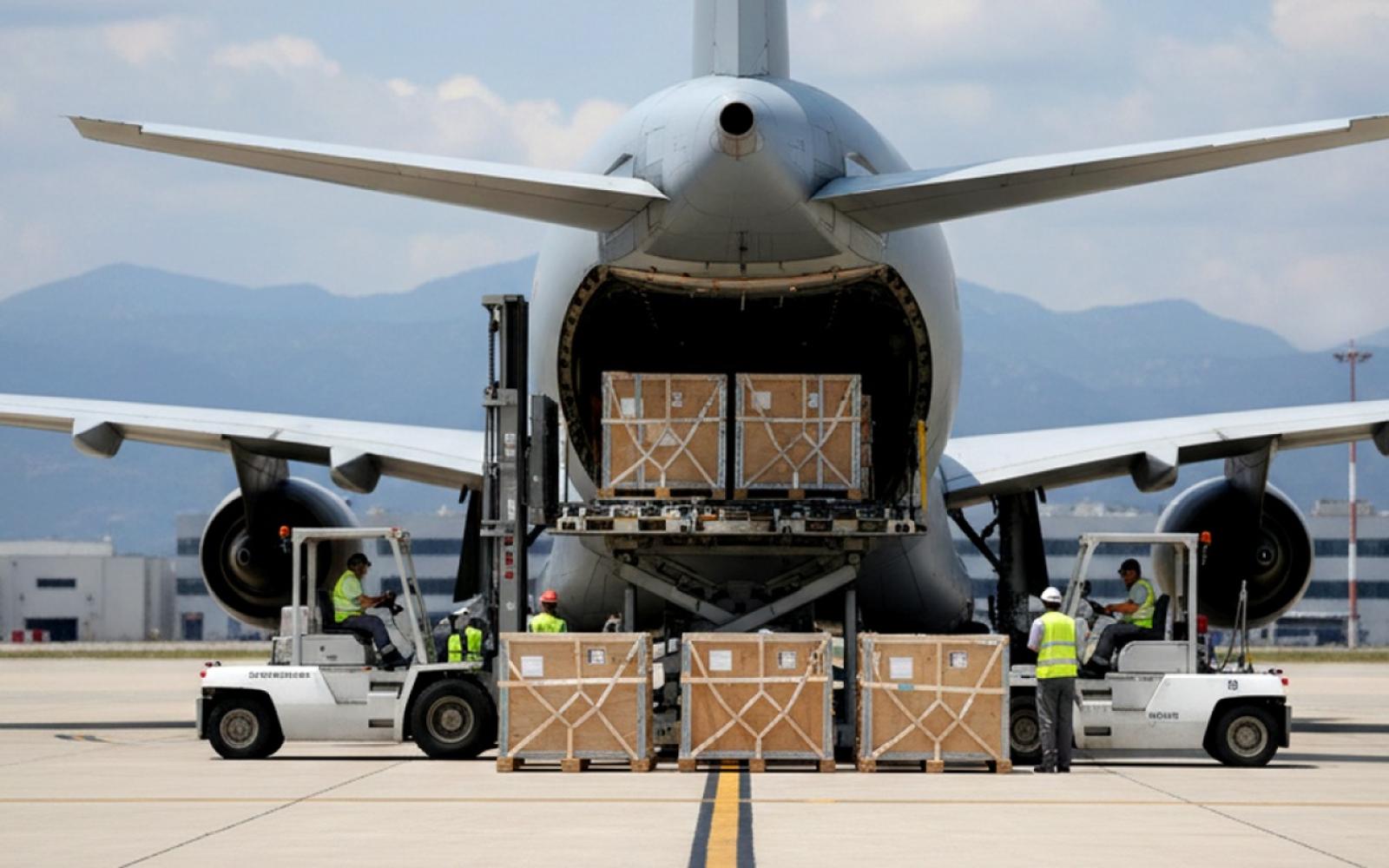 ألبانيزي: وقف تسليح إسرائيل ضرورة لوقف الانتهاكات.. ومعاداة السامية "خديعة"