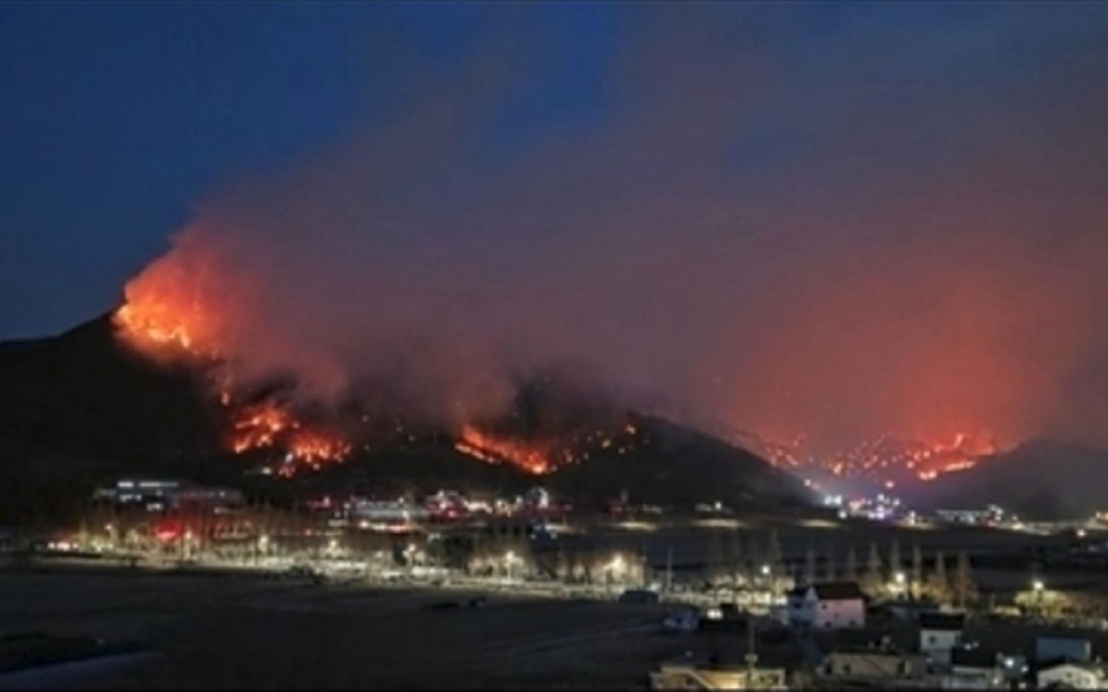 حريق غابات ميريانغ بكوريا الجنوبية يواصل التهام المساحات الخضراء لليوم الثاني