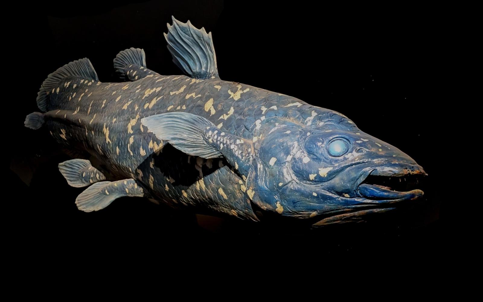 "أنواع لازاروس": عندما تعود الحياة بعد إعلان الانقراض.. ظاهرة تثير الدهشة في عالم الطبيعة