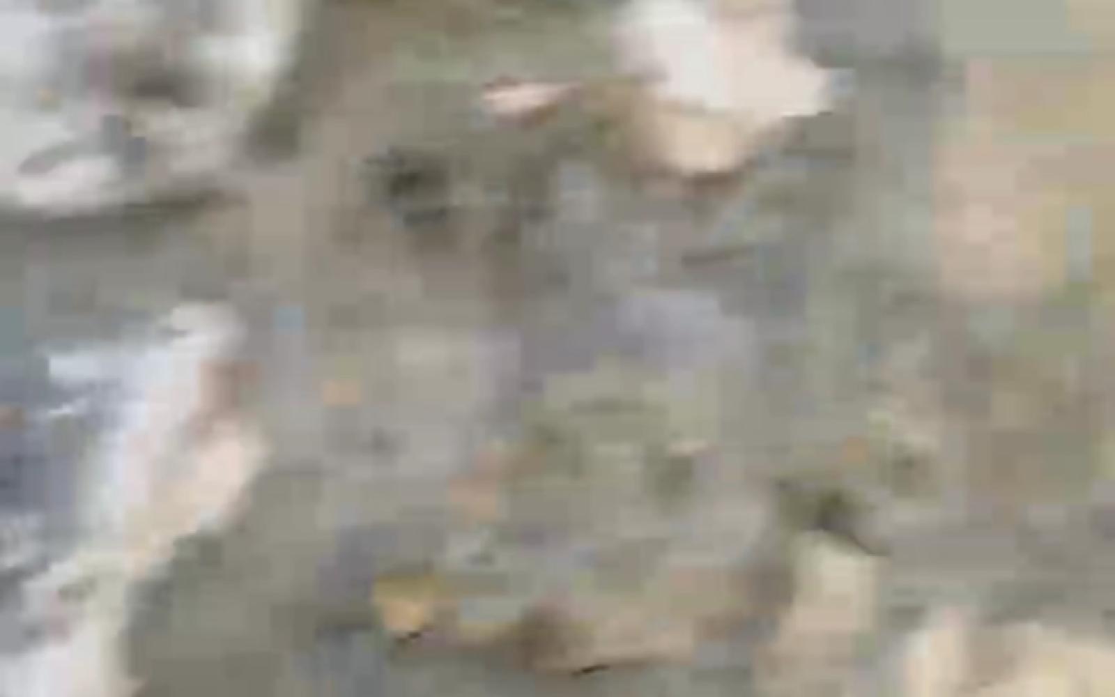 اشتباكات دامية في اللاذقية: الأمن السوري يلاحق "سرايا الجواد" ومقتل قيادات وعناصر