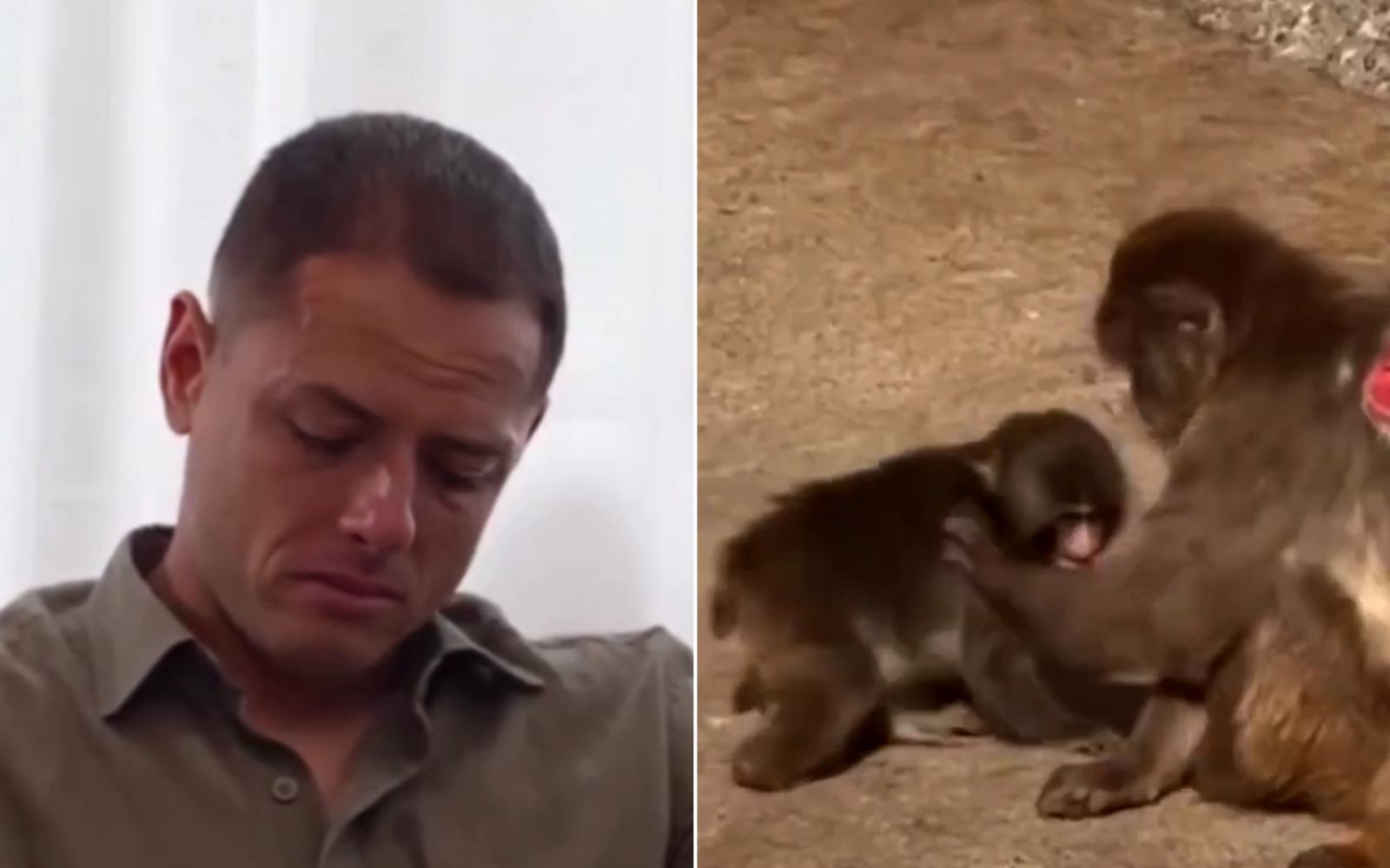 تشيشاريتو يبكي تأثراً بـ"بانش": نجم كرة القدم يتأمل في قسوة الحياة و"العزلة"