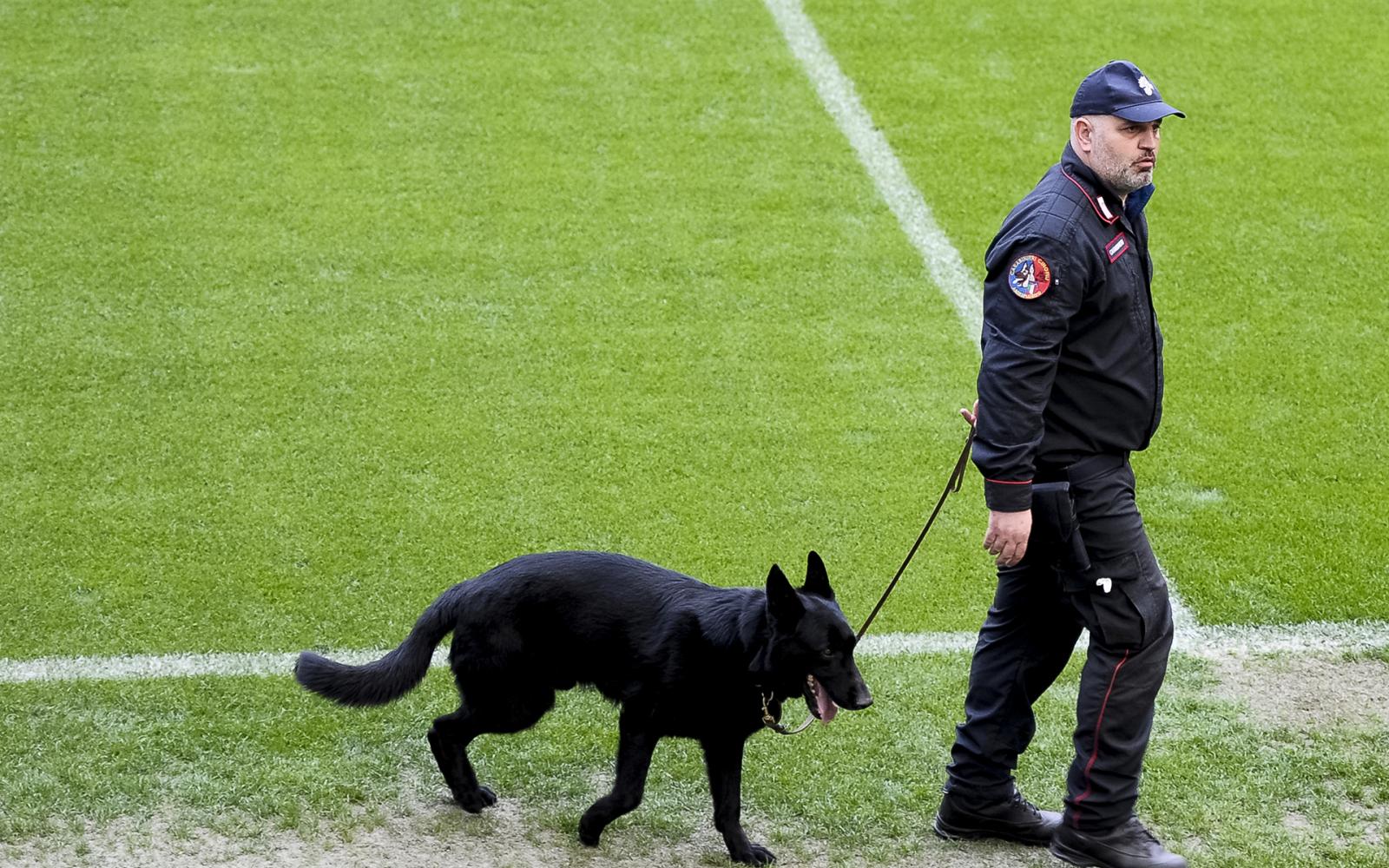 إيطاليا في السبعينيات: كيف واجهت كرة القدم الإيطالية عنف المدرجات بالكلاب البوليسية؟