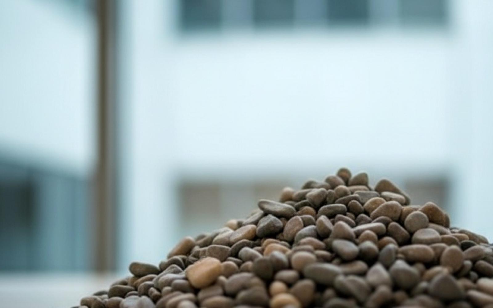 ارتفاع حصيلة ضحايا العدوان على غزة: 9 شهداء جدد وانتشال جثامين من تحت الأنقاض