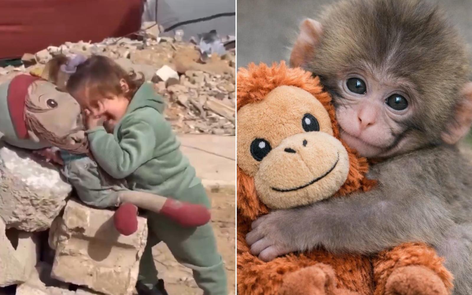 "بانش" القرد يثير عواطف العالم.. وكوبا تصرخ: أين تعاطفكم مع أطفال غزة والسودان؟