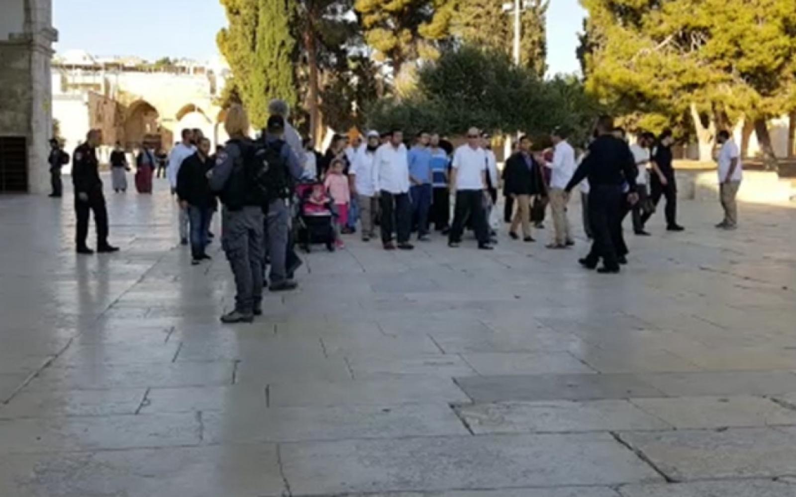 اقتحام الأقصى بحماية كنيستية وإبعاد فلسطينيين وسط تصاعد الانتهاكات في القدس