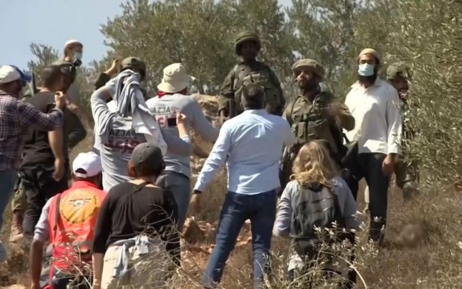 سلسلة اعتداءات للمستوطنين تستهدف المزارعين والرعاة في الضفة والقدس