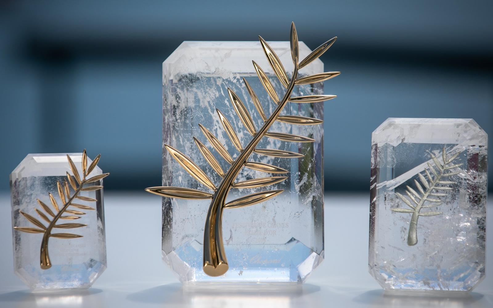 مهرجان برلين السينمائي: منصة عالمية لصوت غزة وقضايا الإنسانية تحت وطأة الحرب