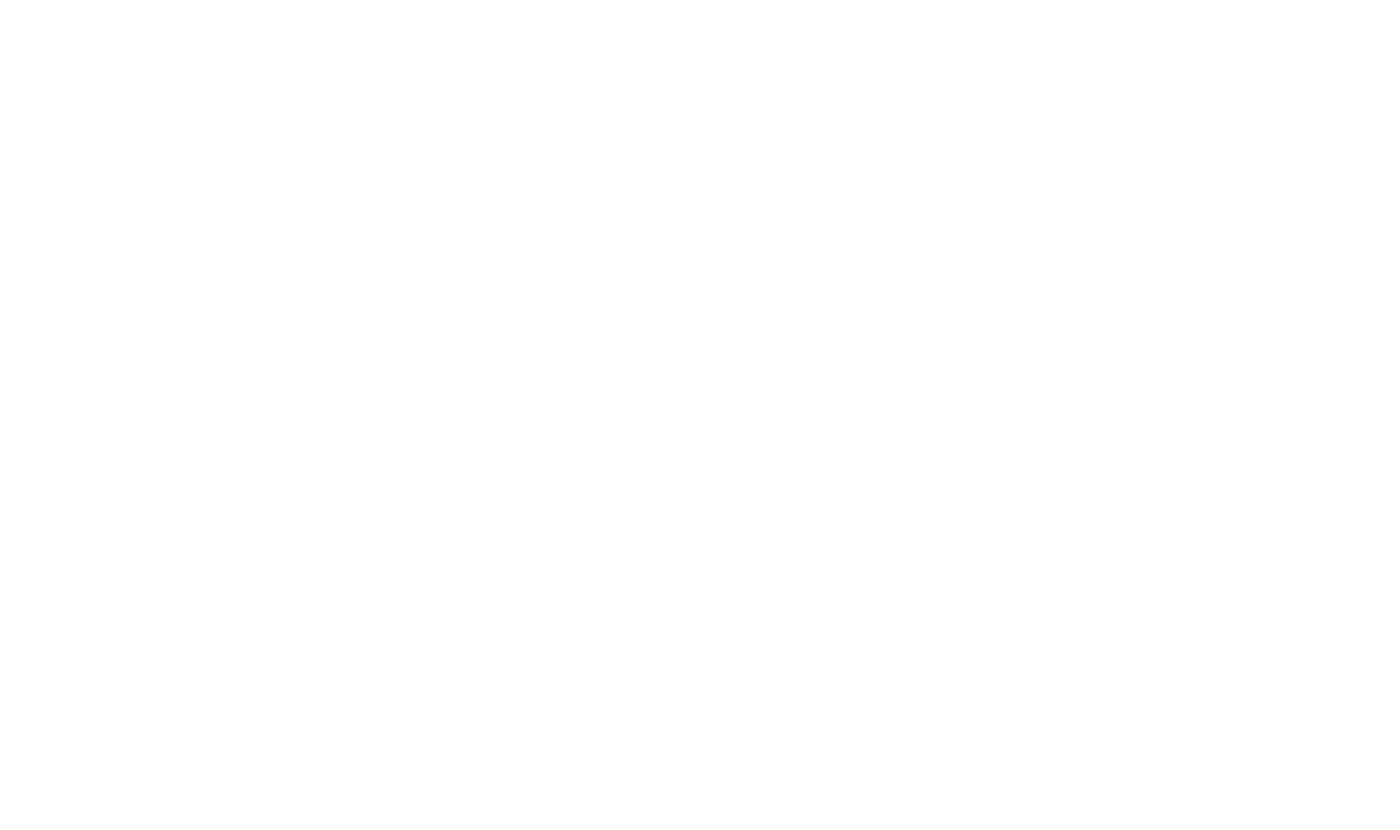 type1.png