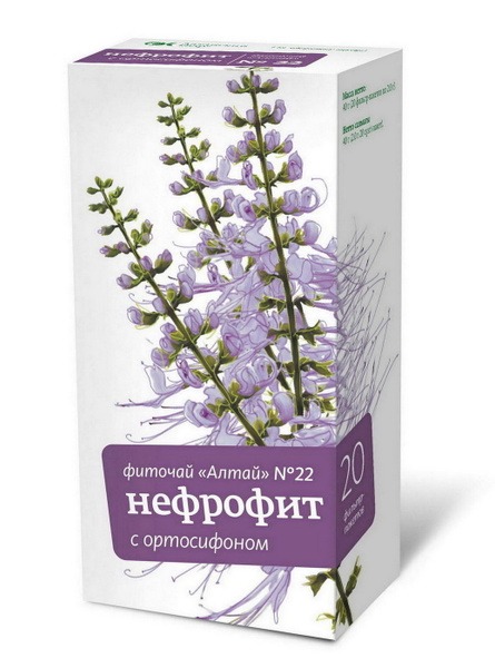 Altai Phytotea #22 Nephrofit: Orthosiphon Herbal Tea, 20 Bags