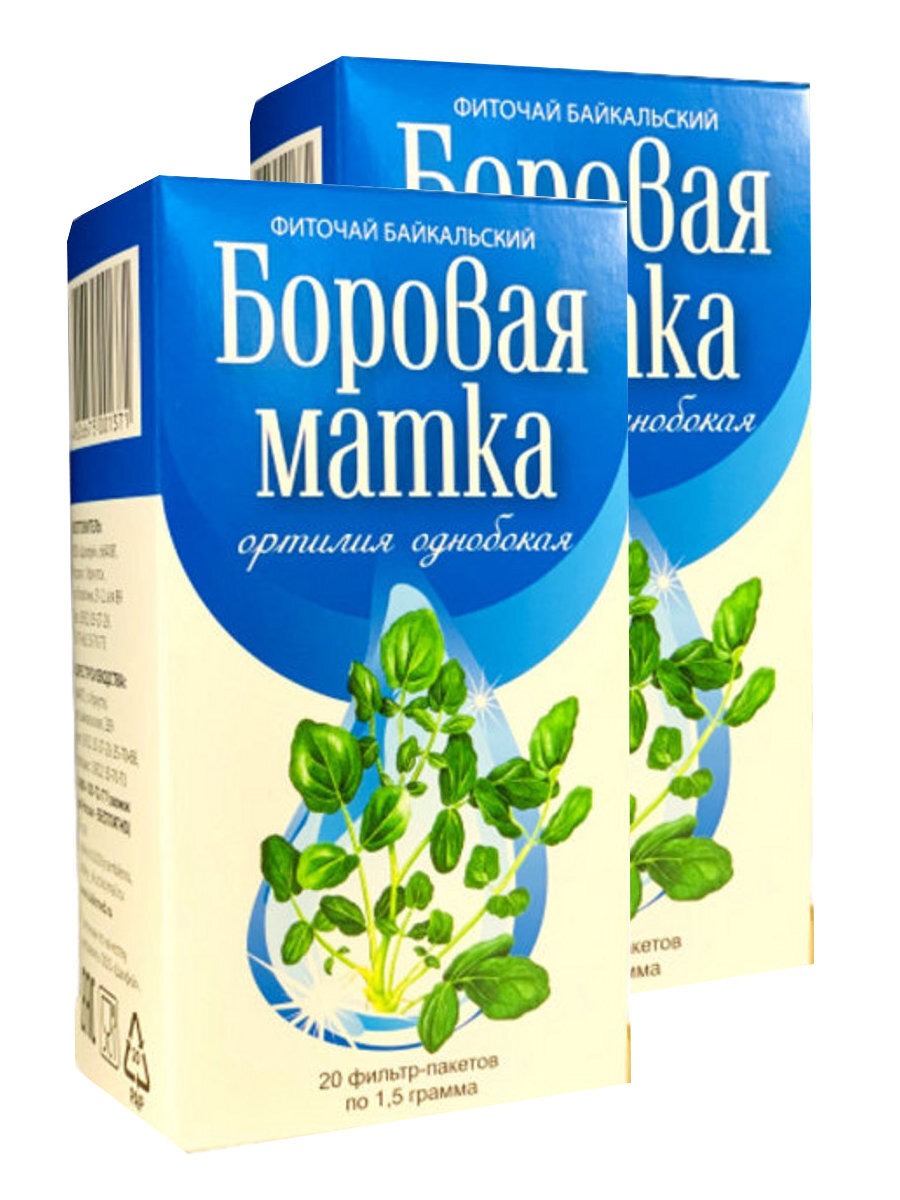 Orthilia Secunda Herbal Tea: 2 Packs (80 Filter Bags)