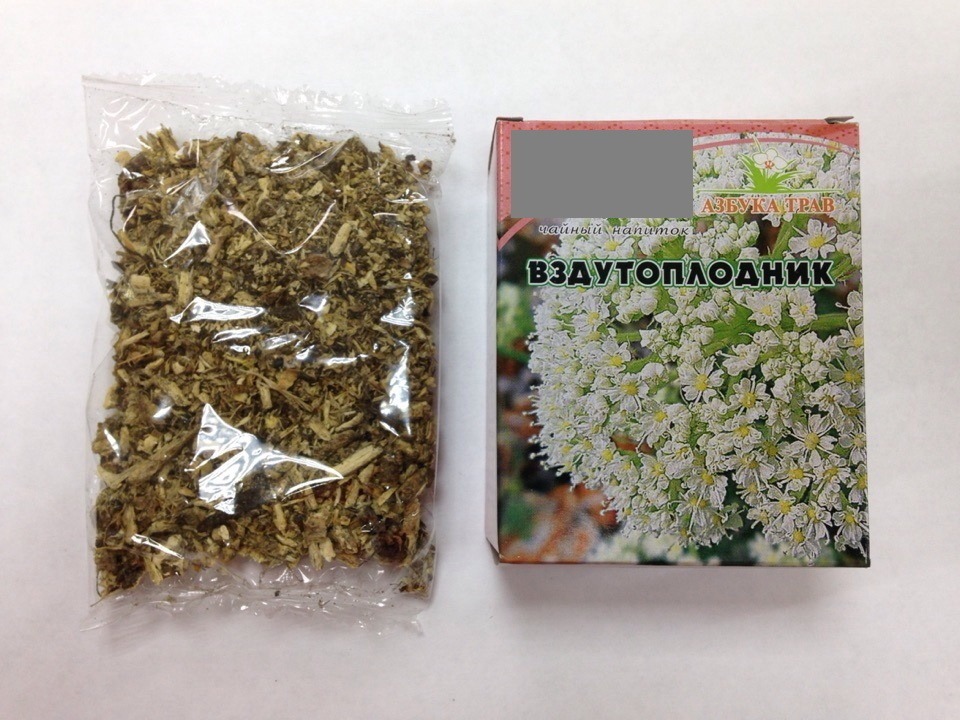 Siberian Pea Root (20g) - Azbuka Trav