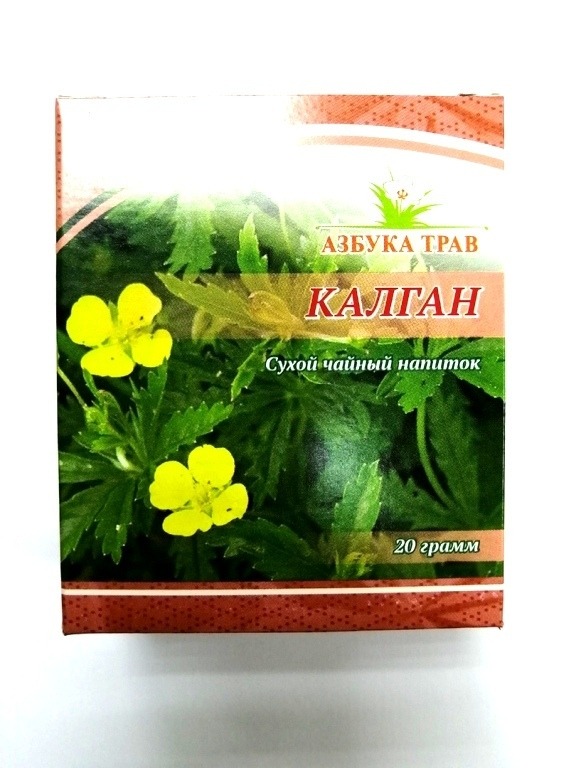 Potentilla Erecta Root (Tormentil) - 20g (Azbuka Trav)