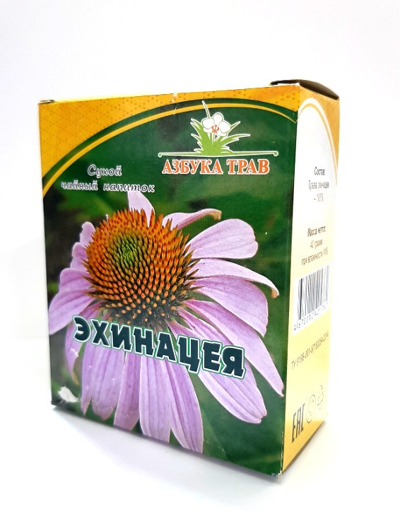 Purple Coneflower Herb (Echinacea), 40g - Azbuka Trav