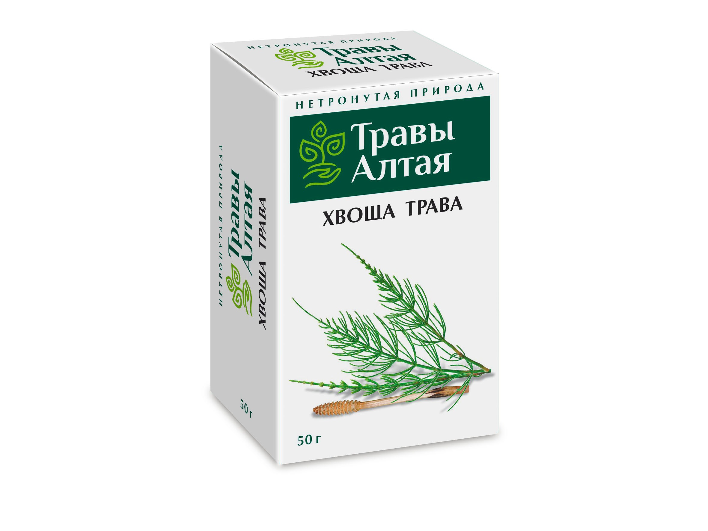 Horsetail Herb (Equisetum Arvense) - Altai Series - 50g
