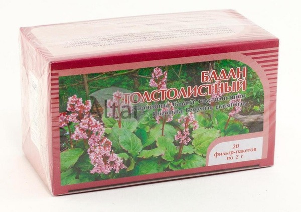 Thickleaf Bergenia Root Tea Bags (20 Count)