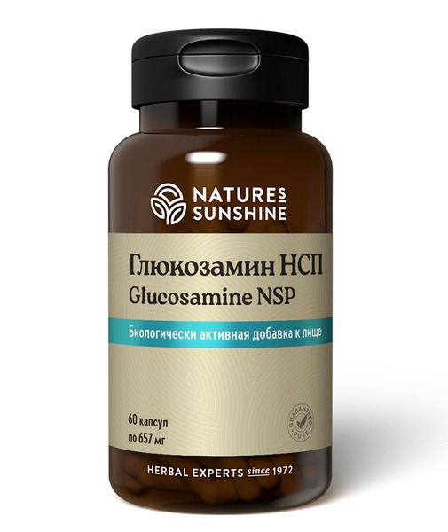 NSP Glucosamine 60 Capsules