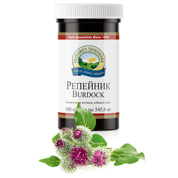 NSP Burdock Root: Benefits &amp; Uses