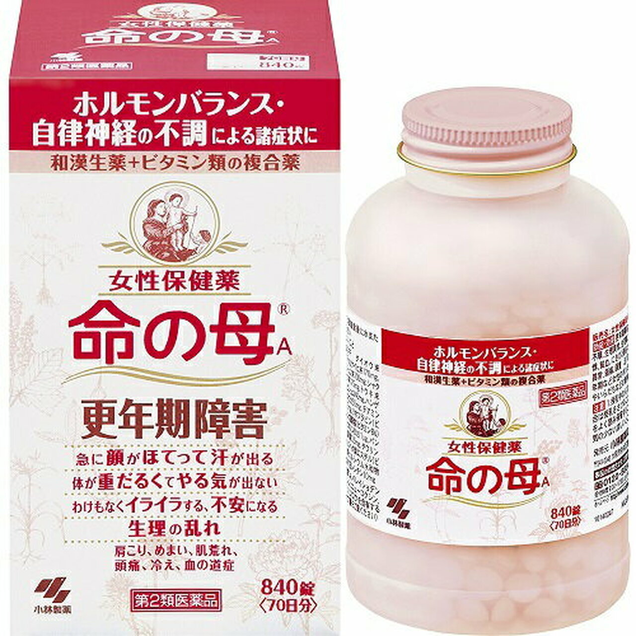 Life's Mother 40+ (Japan): Kobayashi's Inochi no Haha