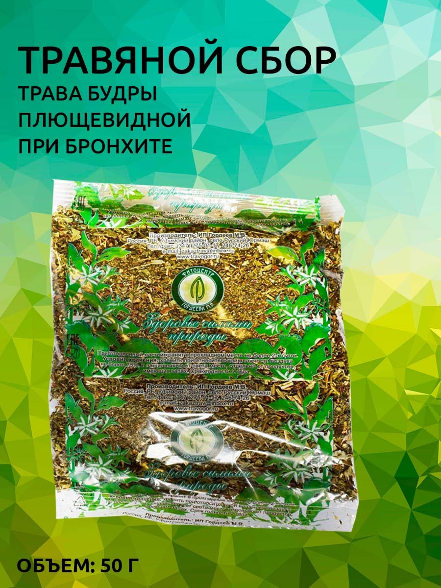 Glechoma Hederacea Herb for Bronchitis &amp; Bile Duct Dyskinesia - 50g