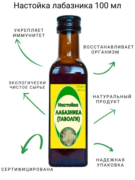 Tavolga (Meadowsweet) Tincture 100ml - Dolgoletova