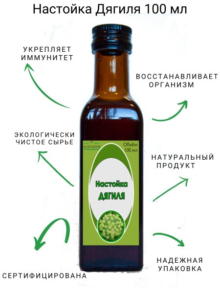 Long-Life Burdock Root Tincture (100ml)