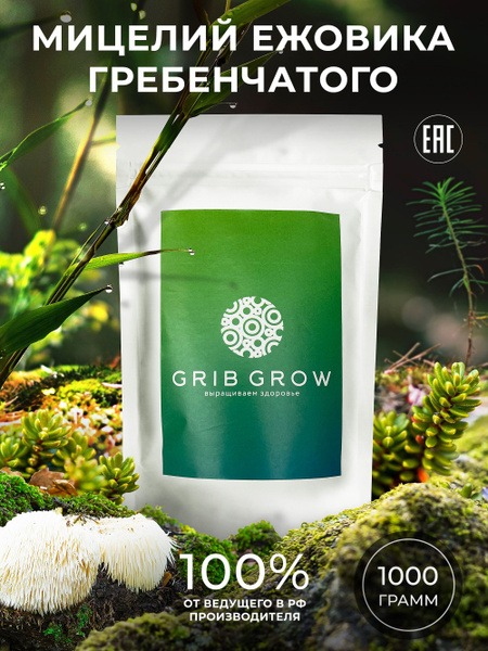 Lion's Mane Mushroom Mycelium Grow Kit - 1kg