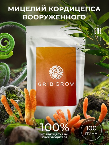 Cordyceps Militaris Mycelium: 100g Grow Kit