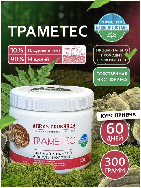 Trametes Mushroom: Identification, Benefits &amp; Uses