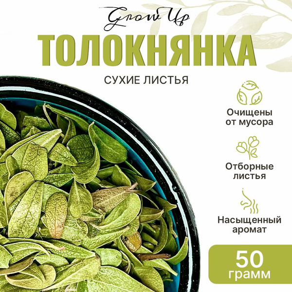 Bearberry Leaf Tea (50g) - Dried Herb, Herbal Remedy