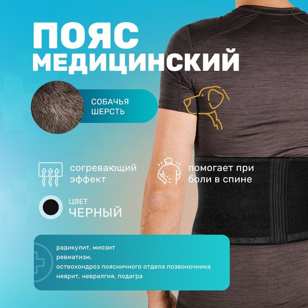 Wool Back Support Brace: Ecoten Dog Hair Radix Relief