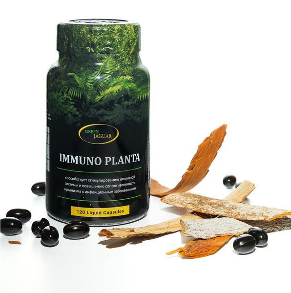 Immuno Planta: Powerful Plant-Based Immune Support - Anti-inflammatory &amp; Antiviral (120 Softgels)