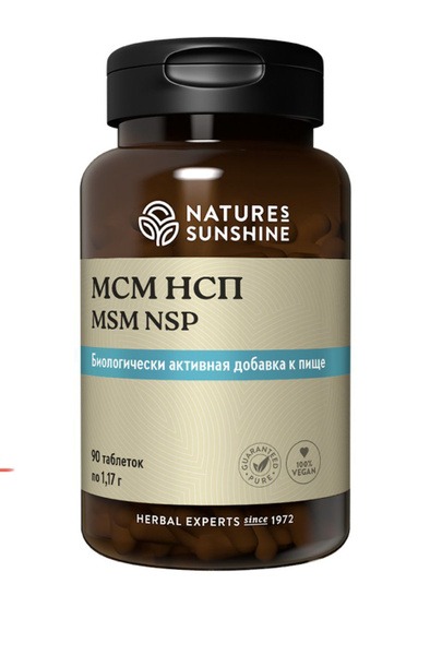 MSM 90 Tablets (1.17g Each) - NSP Supplement