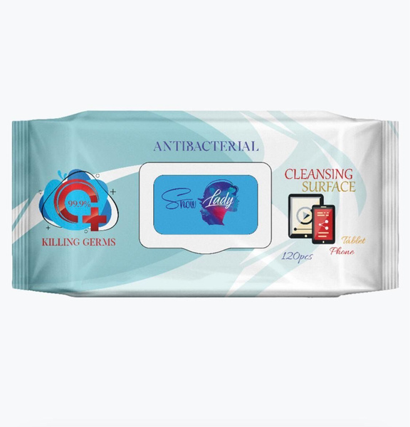 Snow Lady Antibacterial Wet Wipes - 360 Count Bulk Pack