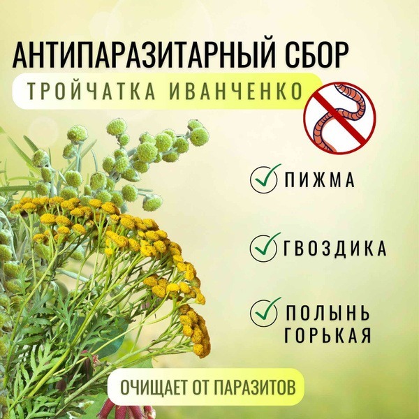 Ivanchenko's Triple Herb Antiparasitic Blend (50g)