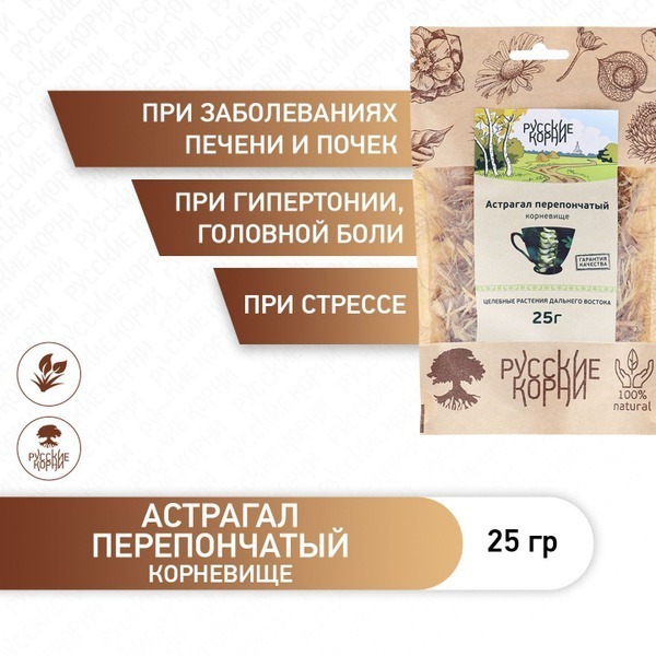 Astragalus Membranaceus Root Powder (25g)