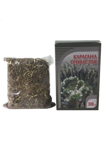 Caragana Shrub Cuttings (30g),  Horticultural Grade