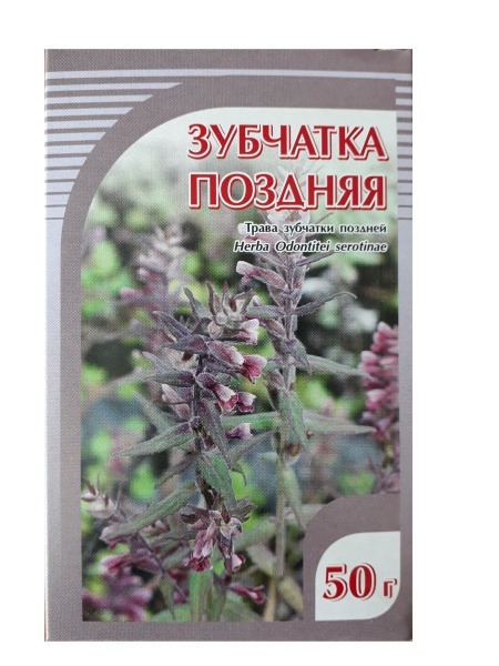 Late Toothwort Herb 50g, Horst
