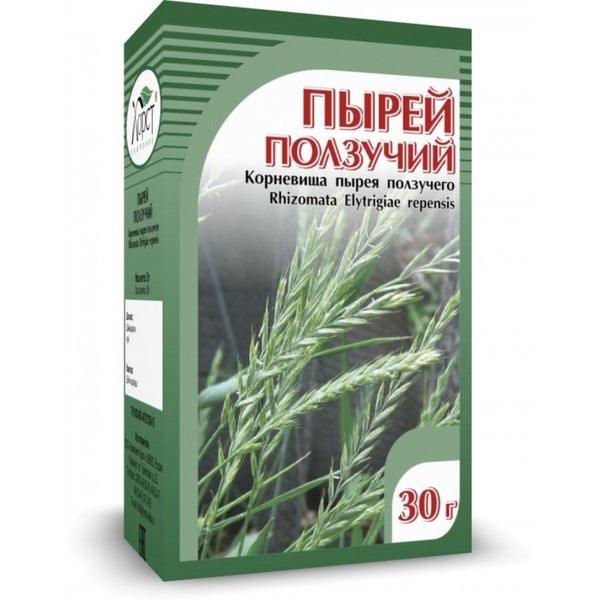 Creeping Wheatgrass Rhizomes (30g) - Horst