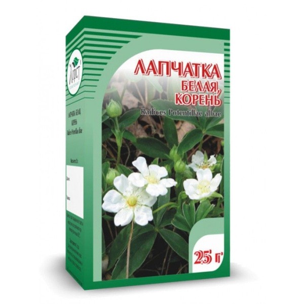 White Cinquefoil Root Herbal Tea, 25g - Horst