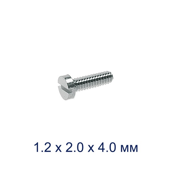 Silver M1.2x2.0x4.0mm Machine Screws (10 Pack)