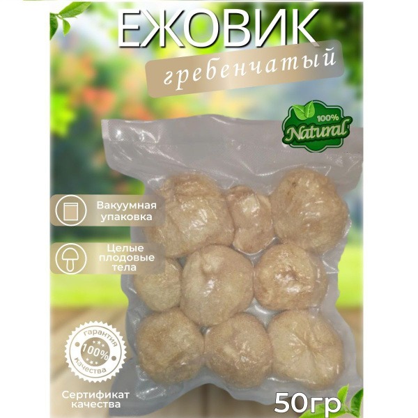 Lion's Mane Mushroom (Hericium Erinaceus) - 50g Dried Fruiting Body