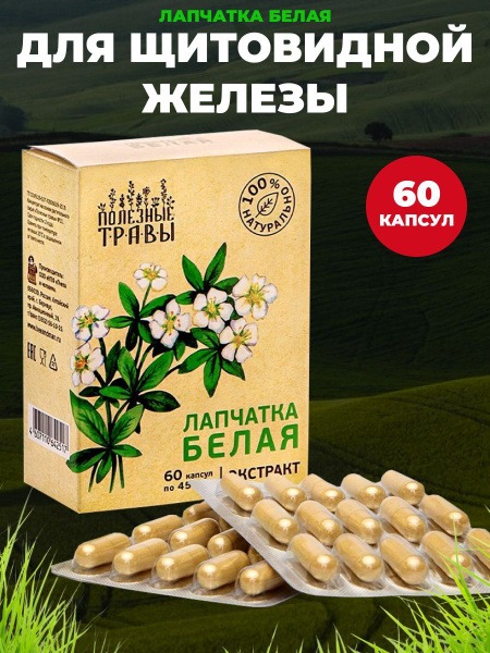 White Potentilla Extract, Bee Pollen &amp; Human Health: 60 Capsules (450mg)