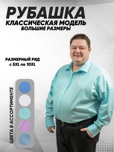 Plus Size CARESS Shirts